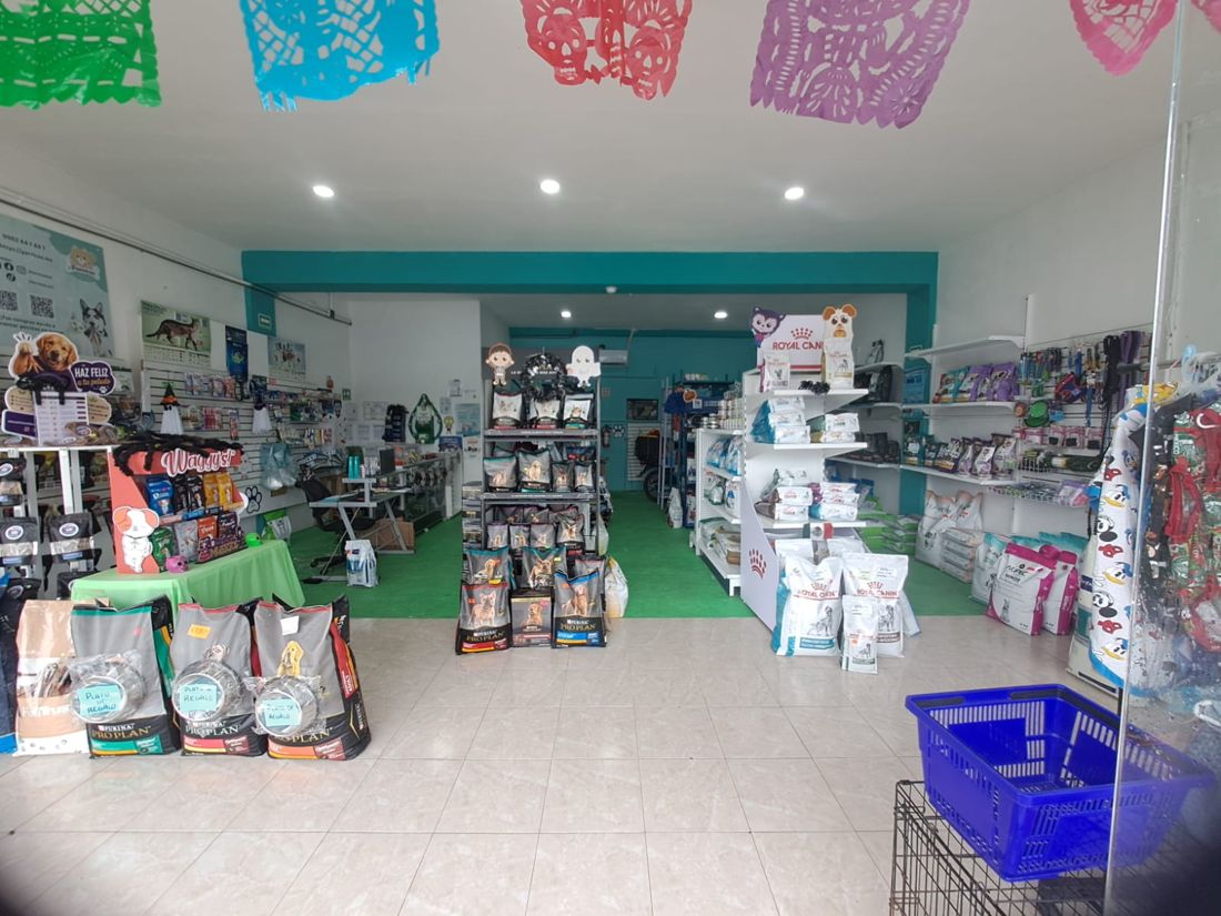 La tienda de Sr. Perricos hoy, con anaqueles llenos